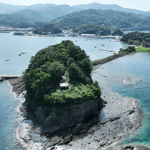 島根県で家電の持ち込み・出張買取