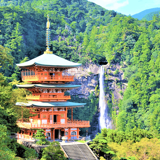 和歌山県で家電の持ち込み・出張買取