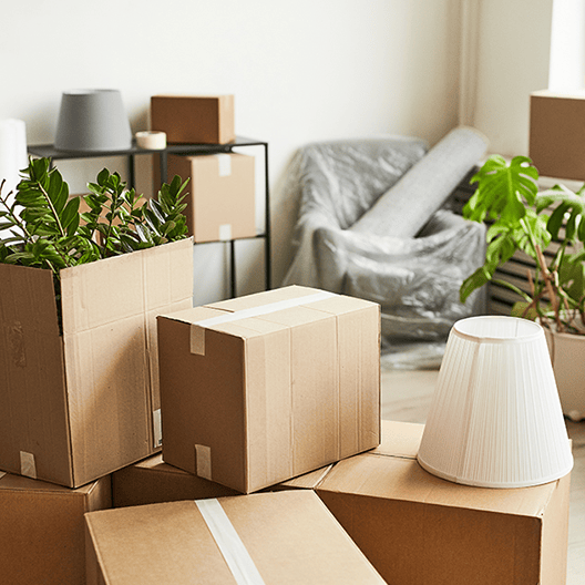 引越し前不要品